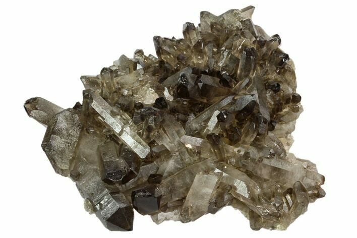 Dark Smoky Quartz Crystal Cluster - Brazil #124605